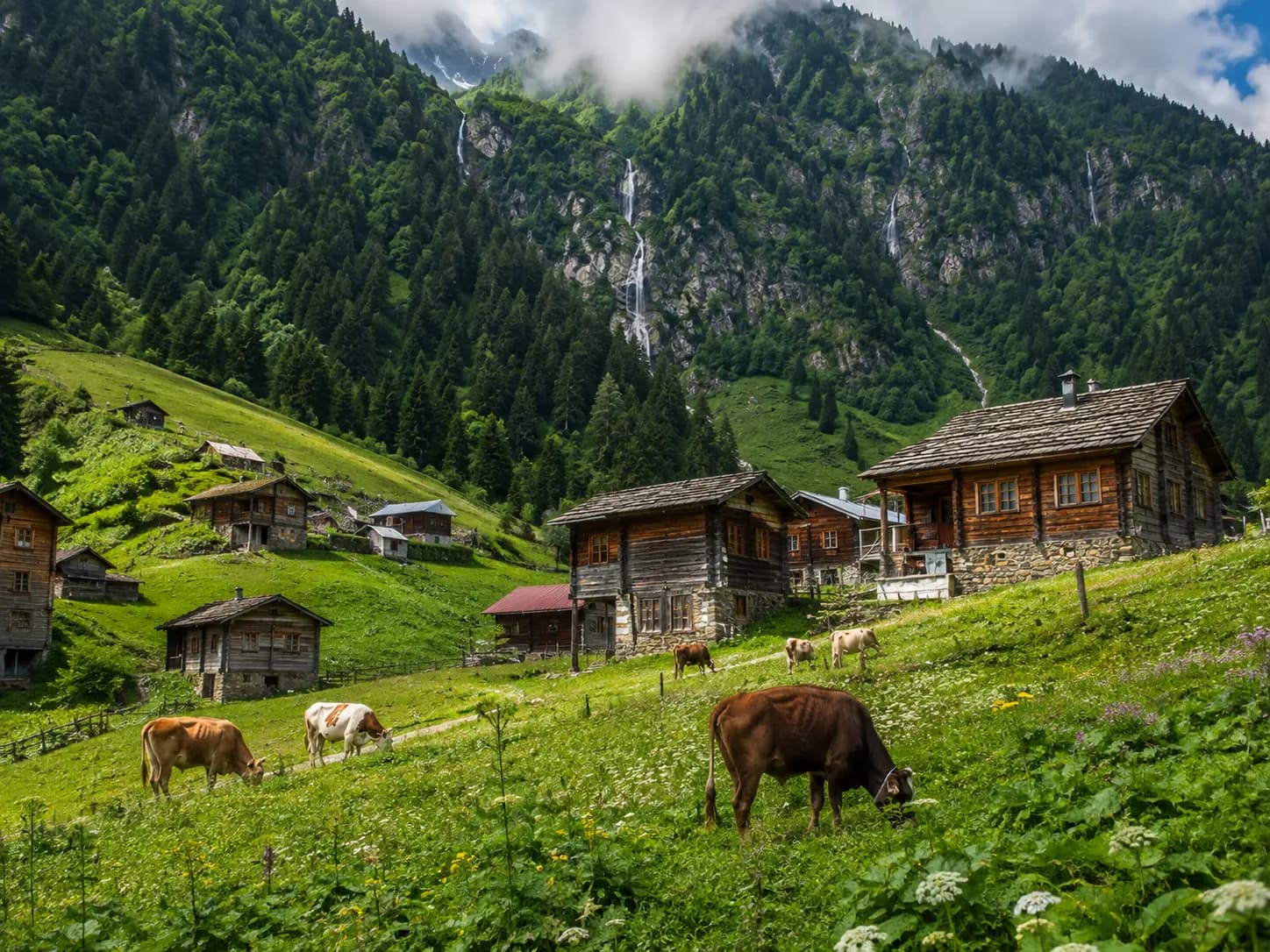 Ayder Plateau in Trabzon
